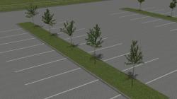  Jung- und Parkplatzb�ume im EEP-Shop kaufen