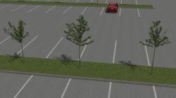 Jung- und Parkplatzb�ume im EEP-Shop kaufen Bild 6