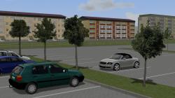 Jung- und Parkplatzb�ume im EEP-Shop kaufen Bild 6