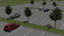 Jung- und Parkplatzb�ume im EEP-Shop kaufen Bild 6