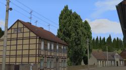 Pappeln und Stra�enb�ume im EEP-Shop kaufen