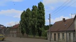 Pappeln und Stra�enb�ume im EEP-Shop kaufen Bild 6