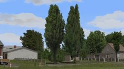 Pappeln und Stra�enb�ume im EEP-Shop kaufen Bild 6