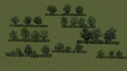 Kombinierte Baum- und Buschreihen im EEP-Shop kaufen Bild 6