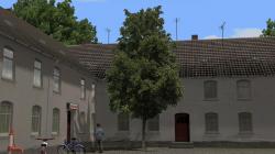 Kastanien, Schwarzpappeln, Sommerb� im EEP-Shop kaufen Bild 6