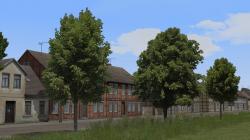 Kastanien, Schwarzpappeln, Sommerb� im EEP-Shop kaufen Bild 6