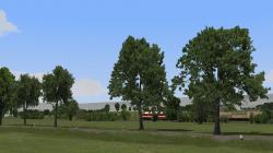  Laubb�ume und Reihen f�r Landstra�e im EEP-Shop kaufen