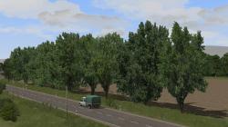  Laubb�ume und Reihen f�r Landstra�e im EEP-Shop kaufen