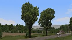 Laubb�ume und Reihen f�r Landstra�e im EEP-Shop kaufen Bild 6