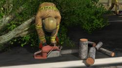  Feuerwehrm�nner mit Kettens�ge im EEP-Shop kaufen