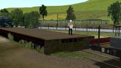 Bahnsteige und Rampen in l�ndlicher im EEP-Shop kaufen Bild 6