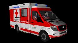 Rettungstransportwagen �sterreichis im EEP-Shop kaufen