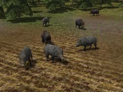 Kinematisch animierte Wildschweine  im EEP-Shop kaufen Bild 6