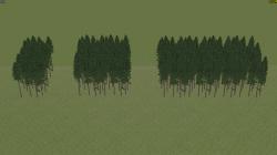  Bergwald Nadel-Hochstamm_Sommer (Se im EEP-Shop kaufen
