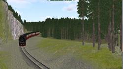Bergwald Nadel-Hochstamm_Sommer (Se im EEP-Shop kaufen Bild 6