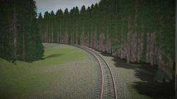 Bergwald Nadel-Hochstamm_Sommer (Se im EEP-Shop kaufen Bild 6