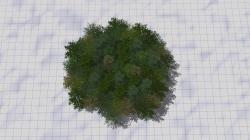 Bergwald Laub Sommer  SPARSET im EEP-Shop kaufen Bild 6