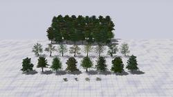 Bergwald Laub Sommer  SPARSET im EEP-Shop kaufen Bild 6