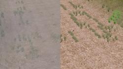  Fluss-Splines im EEP-Shop kaufen