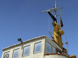 Schlepper  im EEP-Shop kaufen Bild 6