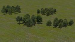 Sommerbaumgruppen und Reihen im EEP-Shop kaufen Bild 6