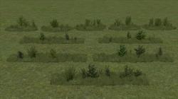 Kombinationen aus Gras, Kraut und B im EEP-Shop kaufen Bild 6