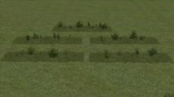 Kombinationen aus Gras, Kraut und B im EEP-Shop kaufen Bild 6