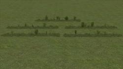 Kombinationen aus Gras, Kraut und B im EEP-Shop kaufen Bild 6