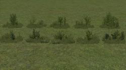 Kombinationen aus Gras, Kraut und B im EEP-Shop kaufen Bild 12