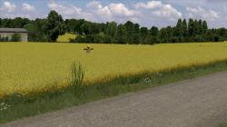  Bl�hende Rapsfelder im EEP-Shop kaufen