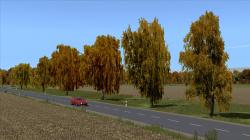  Herbstbirken im EEP-Shop kaufen