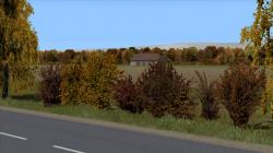  Herbstb�sche im EEP-Shop kaufen