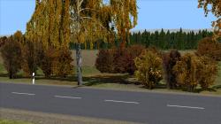 Herbstb�sche im EEP-Shop kaufen Bild 6