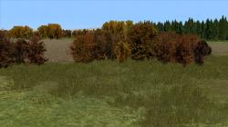 Herbstb�sche im EEP-Shop kaufen Bild 6