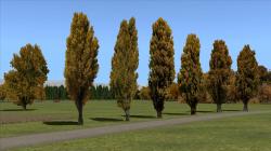  Herbstliche Linden, Kirschb�ume und im EEP-Shop kaufen