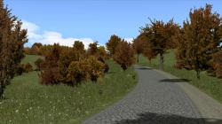 Herbstliche Linden, Kirschb�ume und im EEP-Shop kaufen Bild 6