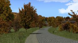 Herbstliche Linden, Kirschb�ume und im EEP-Shop kaufen Bild 6
