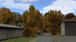 Herbstliche Linden, Kirschb�ume und im EEP-Shop kaufen Bild 6