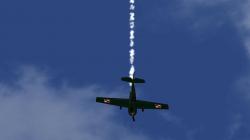  Geburtstagsmodell Yak52-SP-YGD_RS5 im EEP-Shop kaufen
