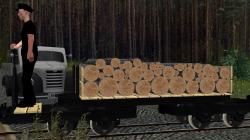  Flachwagen (600 mm) beladbar im EEP-Shop kaufen