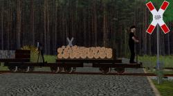  Flachwagen (600 mm) beladbar im EEP-Shop kaufen