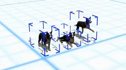Hunde-Set - Border Collie im EEP-Shop kaufen Bild 6