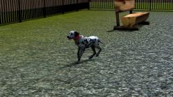  Hunde-Set - Dalmatiner im EEP-Shop kaufen
