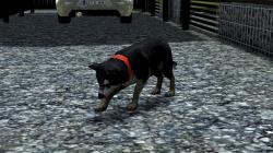  Hunde-Set - Husky im EEP-Shop kaufen