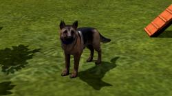  Hunde-Set - Deutscher Sch�ferhund im EEP-Shop kaufen