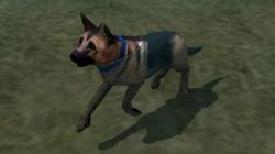 Hunde-Set - Deutscher Sch�ferhund im EEP-Shop kaufen Bild 6