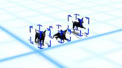 Hunde-Set - English Toy Terrier im EEP-Shop kaufen Bild 6