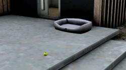  Hunde-Set - Zubeh�r im EEP-Shop kaufen