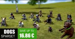 Hunde-Set - Sparset im EEP-Shop kaufen Bild 6