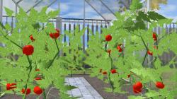 Garten-Set als Sparset im EEP-Shop kaufen Bild 6